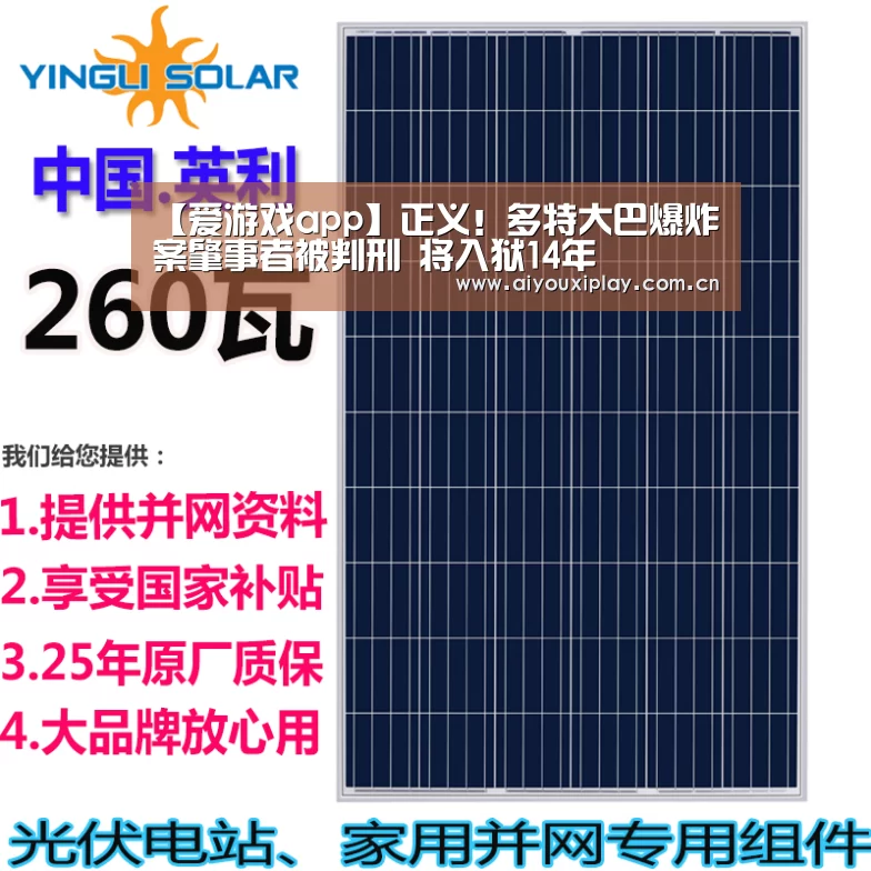【爱游戏app】正义!多特大巴爆炸案肇事者被判刑 将入狱14年(图2) 爱游戏app