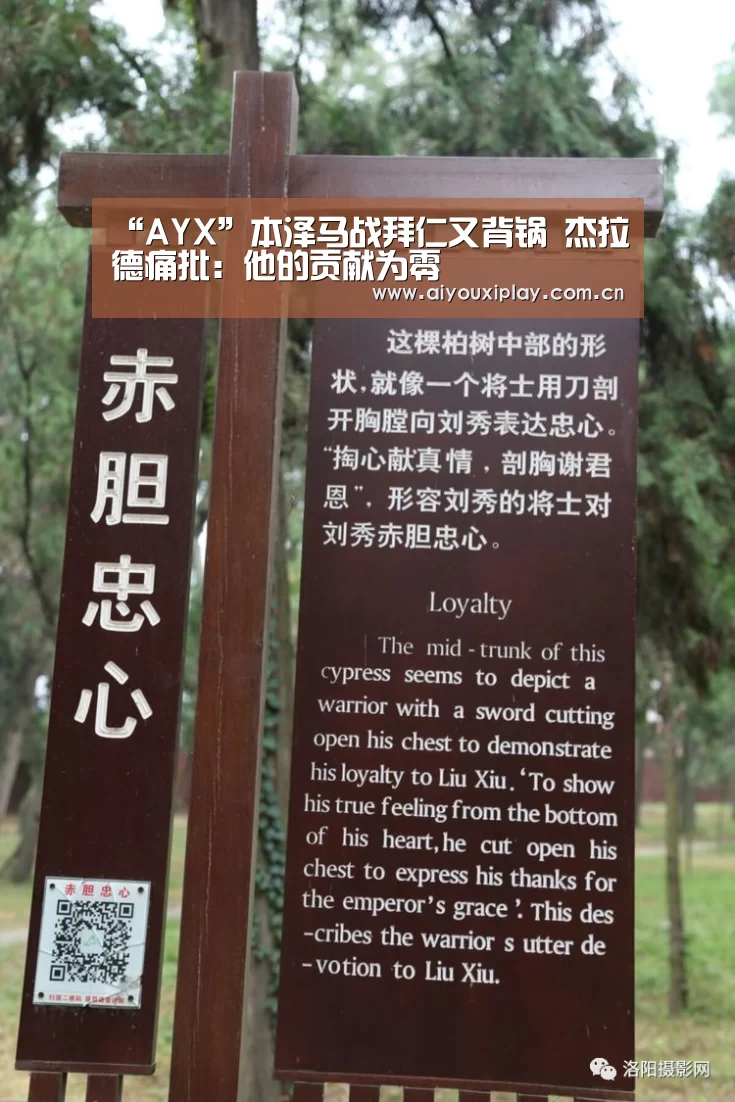 “AYX”本泽马战拜仁又背锅 杰拉德痛批:他的贡献为零(图1) “AYX”本泽马战拜仁又背锅 杰拉德痛批:他的贡献为零(图1)