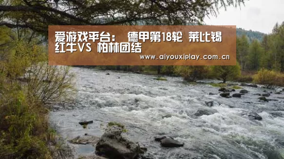 爱游戏体育app