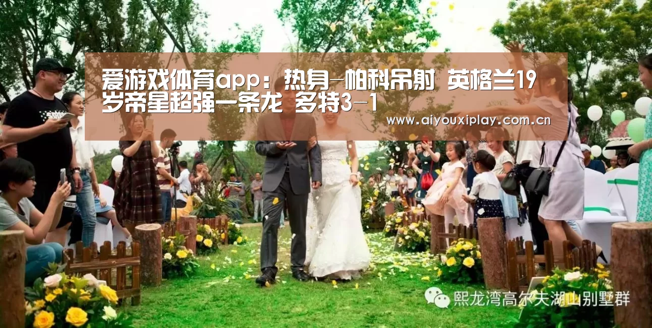 爱游戏体育app