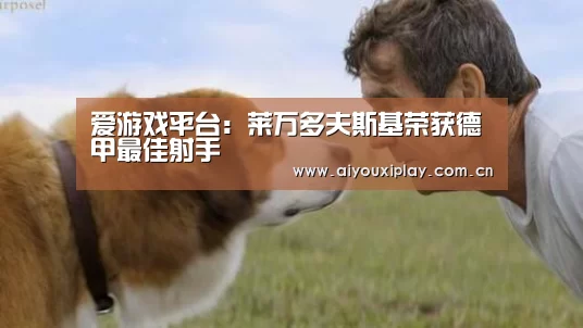 爱游戏平台:莱万多夫斯基荣获德甲最佳射手(图4) 爱游戏体育app