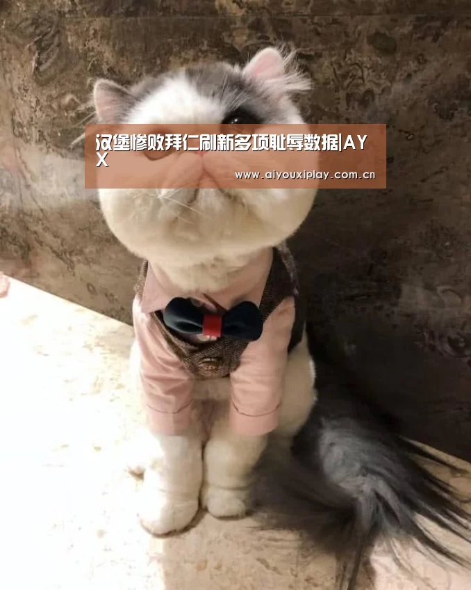 汉堡惨败拜仁刷新多项耻辱数据|AYX
