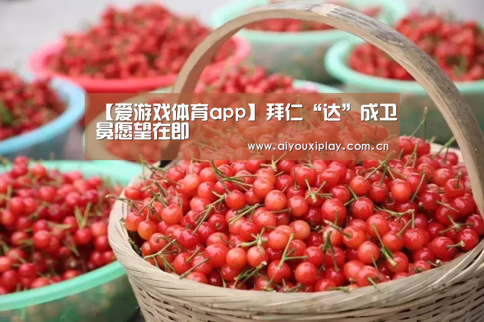 爱游戏体育app