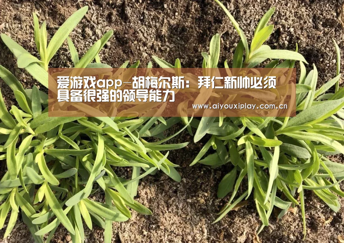 爱游戏体育app