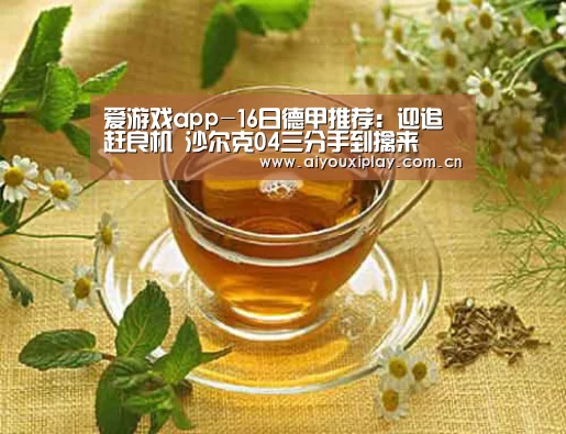 爱游戏app-16日德甲推荐:迎追赶良机 沙尔克04三分手到擒来(图1) 爱游戏平台